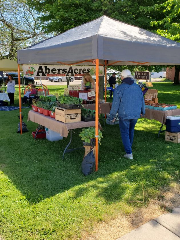 MayvilleChautauqua Chamber Preparing For 2022 Farmers’ & Artisans